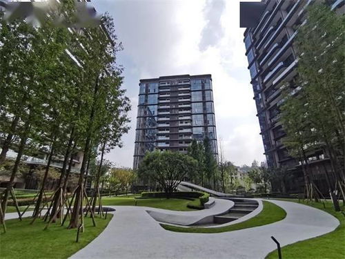 活動(dòng) 德州房協(xié)赴川渝經(jīng)典房地產(chǎn)開發(fā)項(xiàng)目考察活動(dòng)圓滿成功