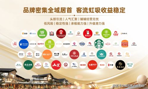 成都沁園世紀(jì)廣場(chǎng)旺鋪熱銷中 專業(yè)投資咨詢，助您搶占財(cái)富先機(jī)